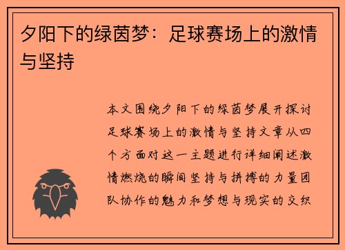 夕阳下的绿茵梦：足球赛场上的激情与坚持