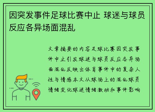 因突发事件足球比赛中止 球迷与球员反应各异场面混乱