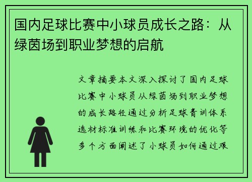 国内足球比赛中小球员成长之路：从绿茵场到职业梦想的启航