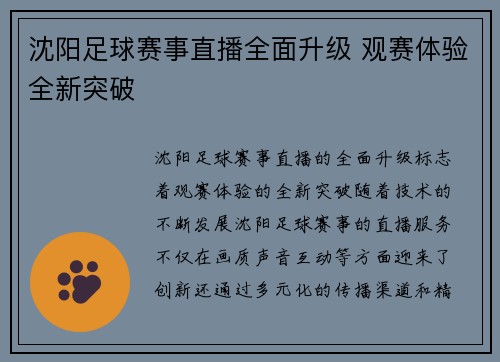 沈阳足球赛事直播全面升级 观赛体验全新突破