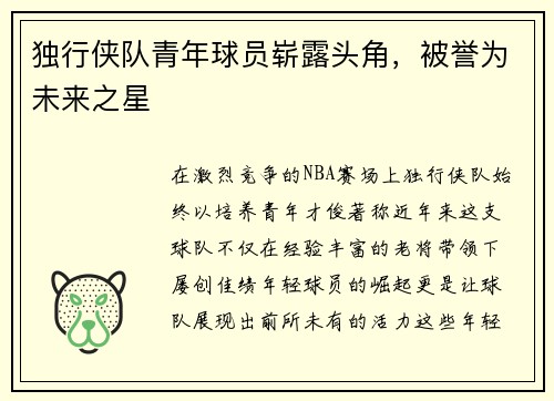 独行侠队青年球员崭露头角，被誉为未来之星