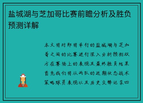 盐城湖与芝加哥比赛前瞻分析及胜负预测详解