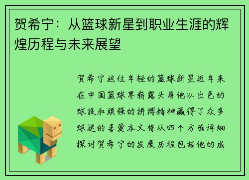 贺希宁：从篮球新星到职业生涯的辉煌历程与未来展望